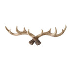 porte manteau mural bois de cerf - Vignette | Ma boutique